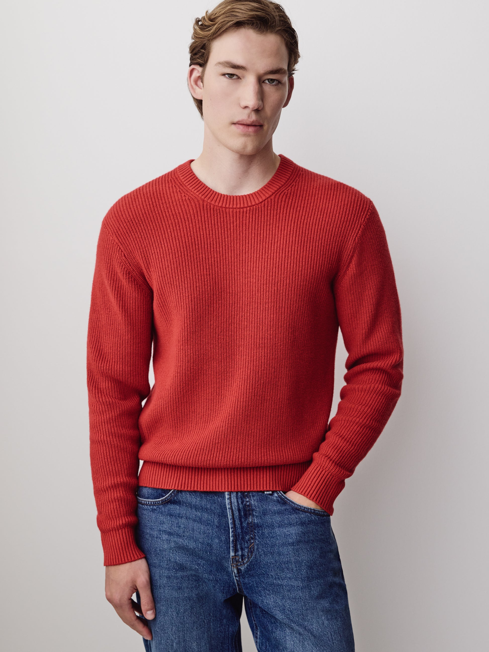 Knit Crewneck Sweater Cotton Cashmere Blend