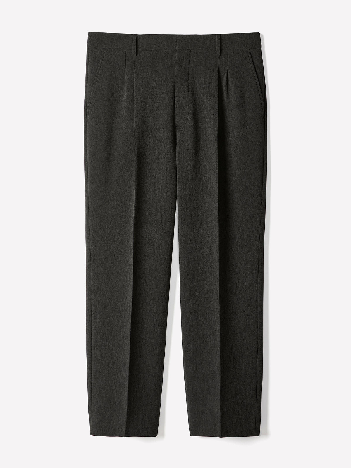 Wide-Leg Pleated Dress Pant
