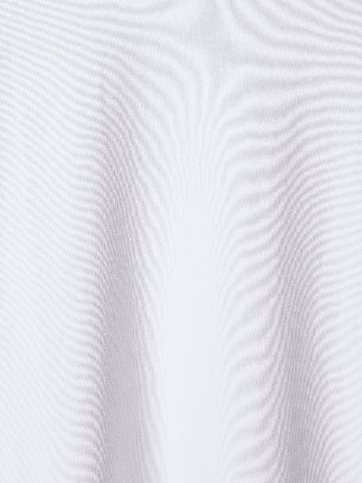 Regular Fit Cotton Scoop Neck Tee
