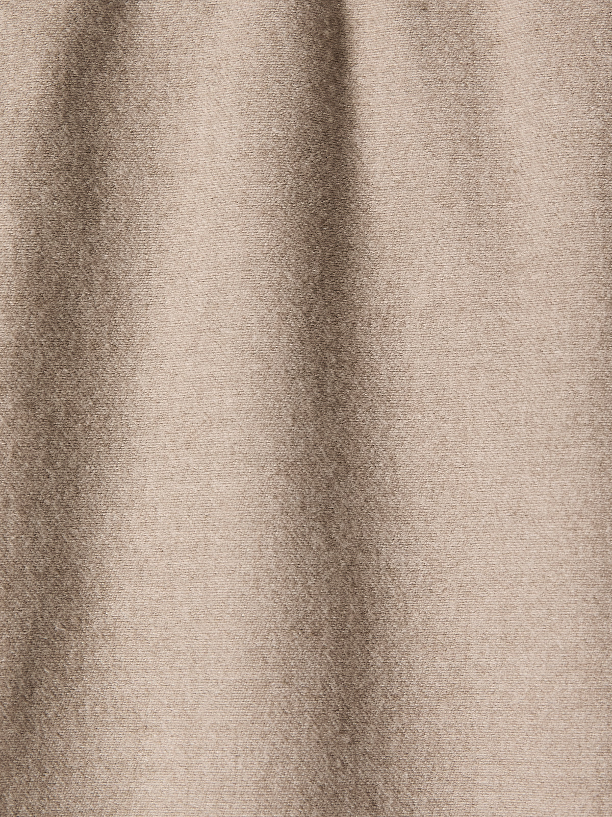 Tailored-Fit Brushed-Knit Pant