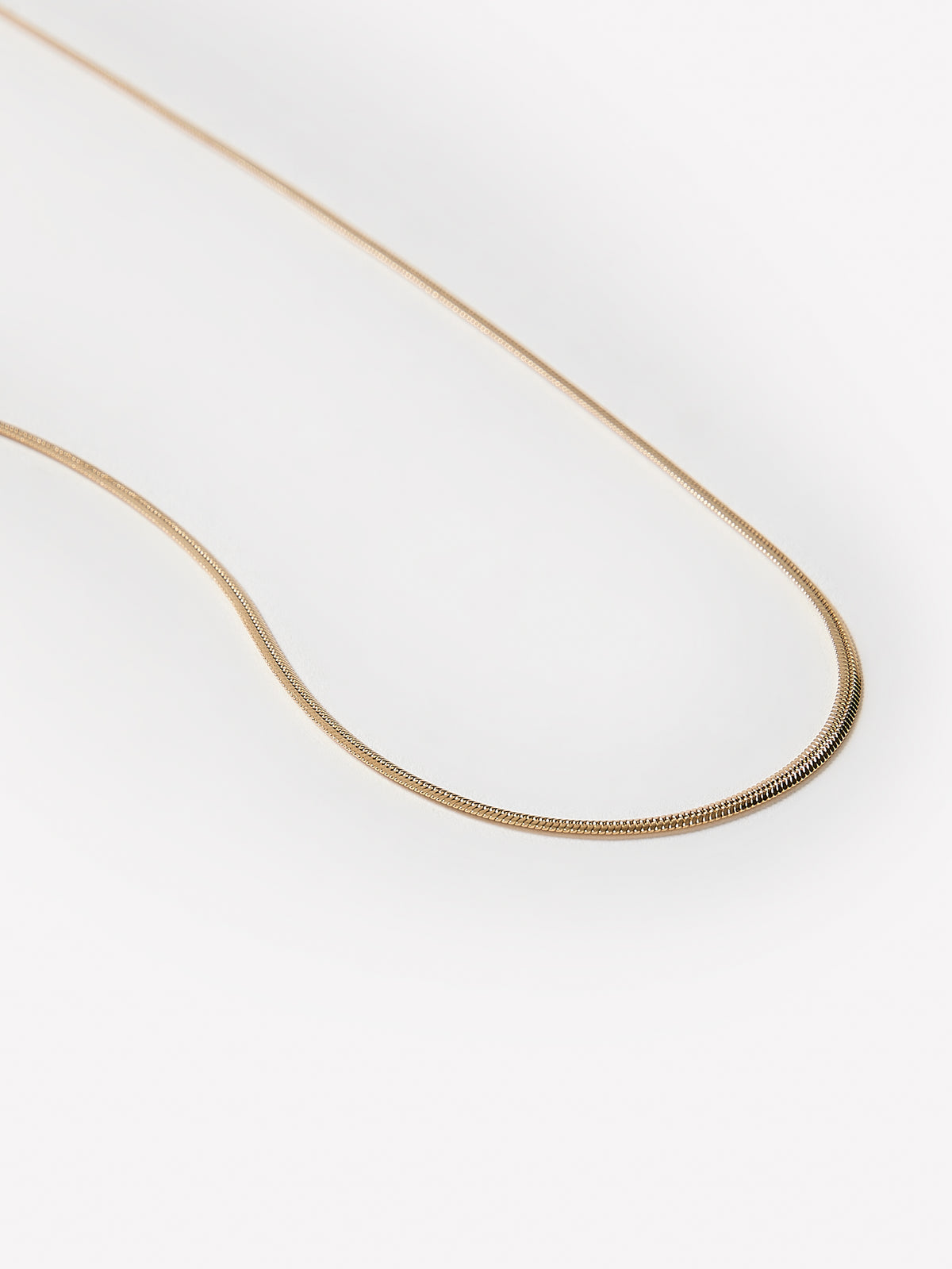 Delicate Snake Chain Necklace in Metal