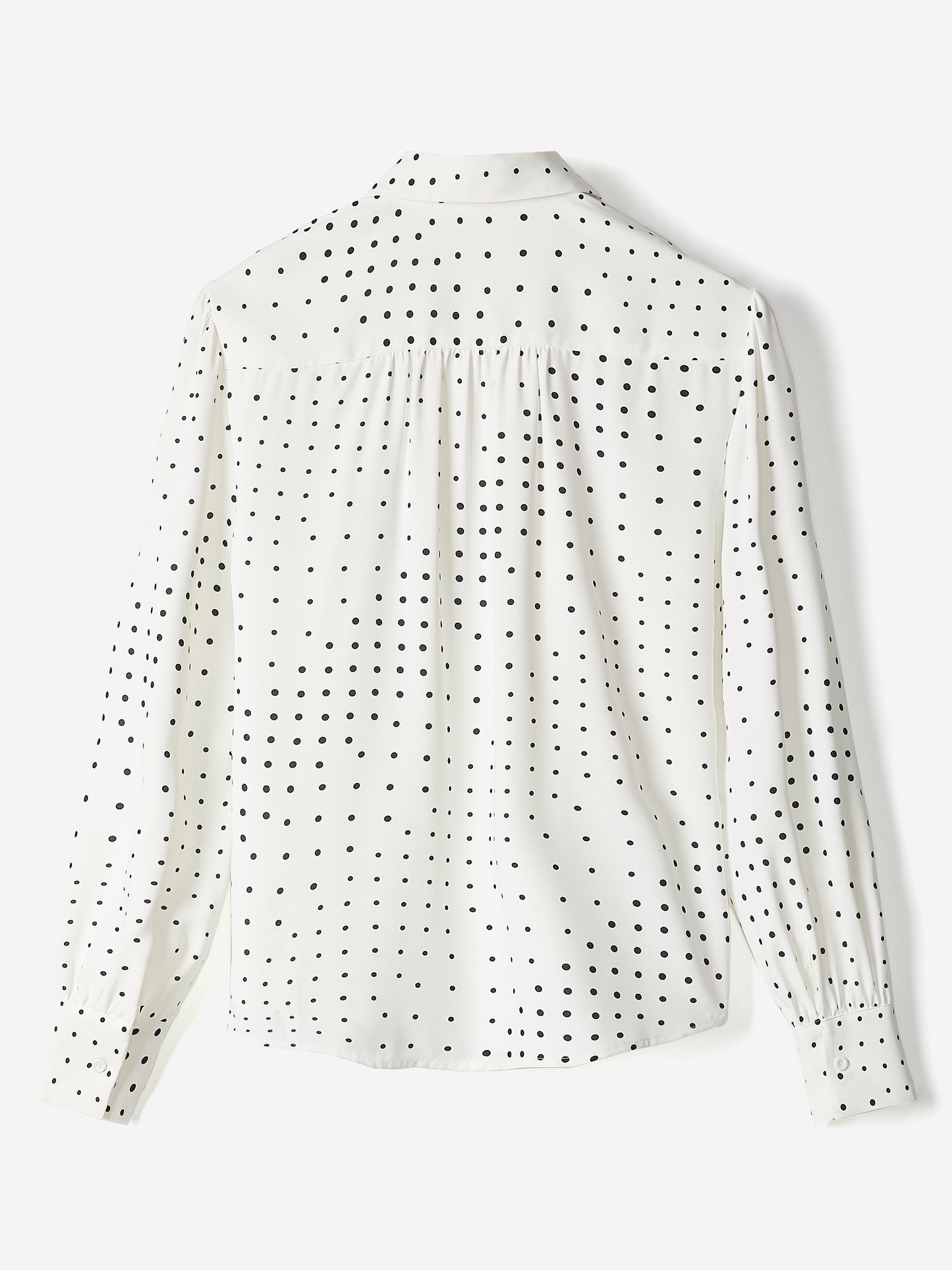 Silky Crepe Long-Sleeve Buttoned-Down Blouse
