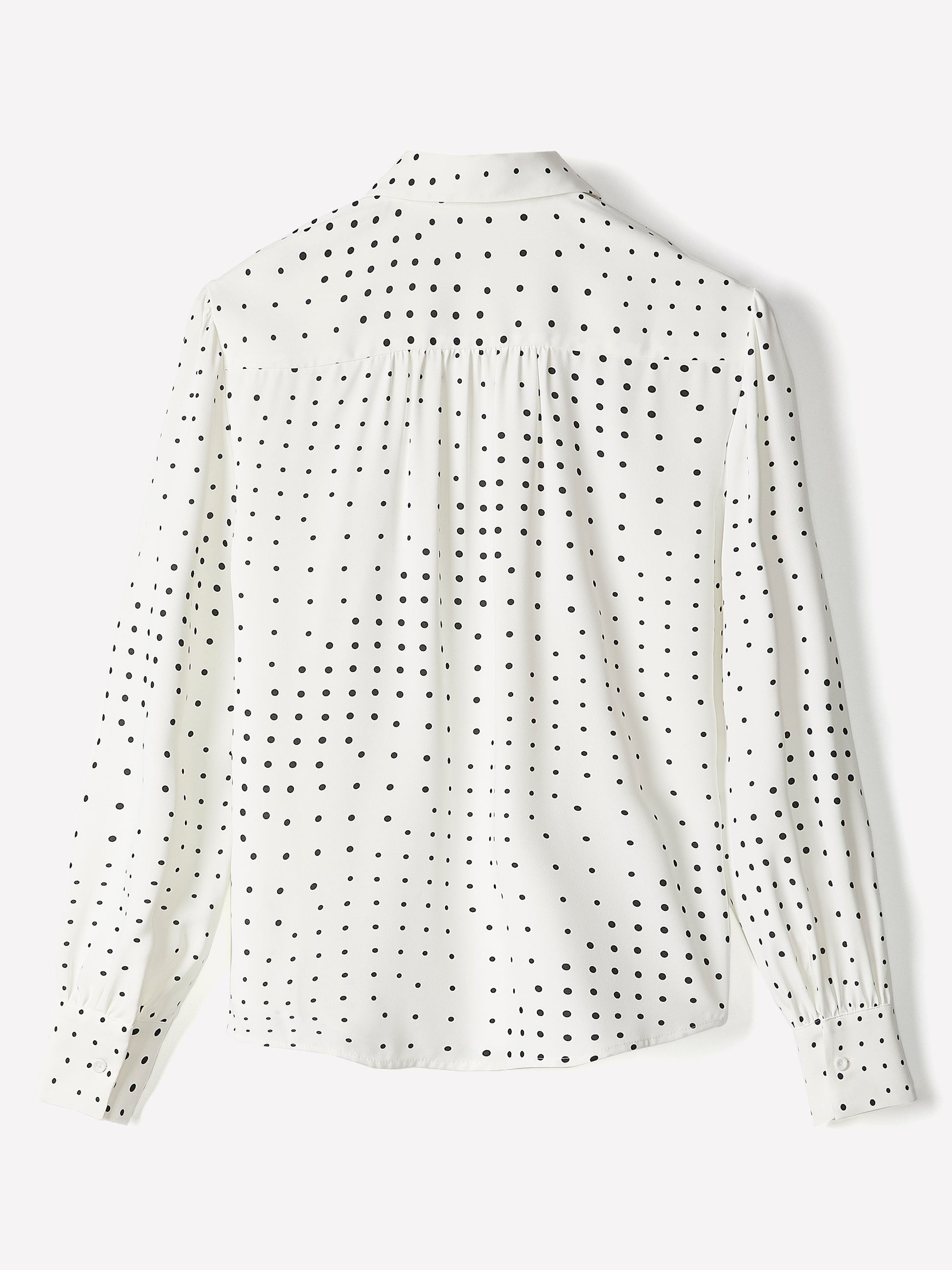 Silky Crepe Long-Sleeve Buttoned-Down Blouse