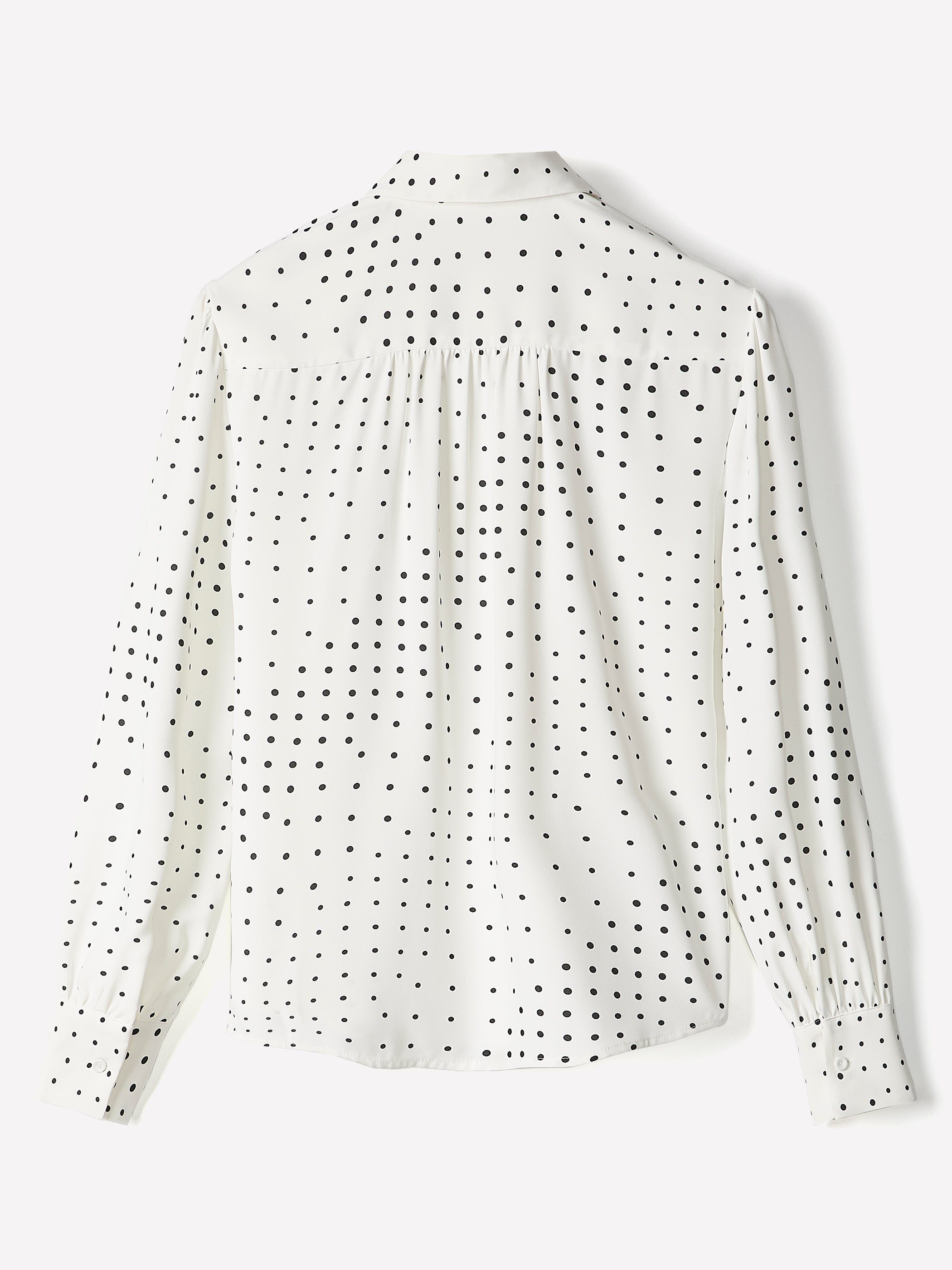 Silky Crepe Long-Sleeve Buttoned-Down Blouse