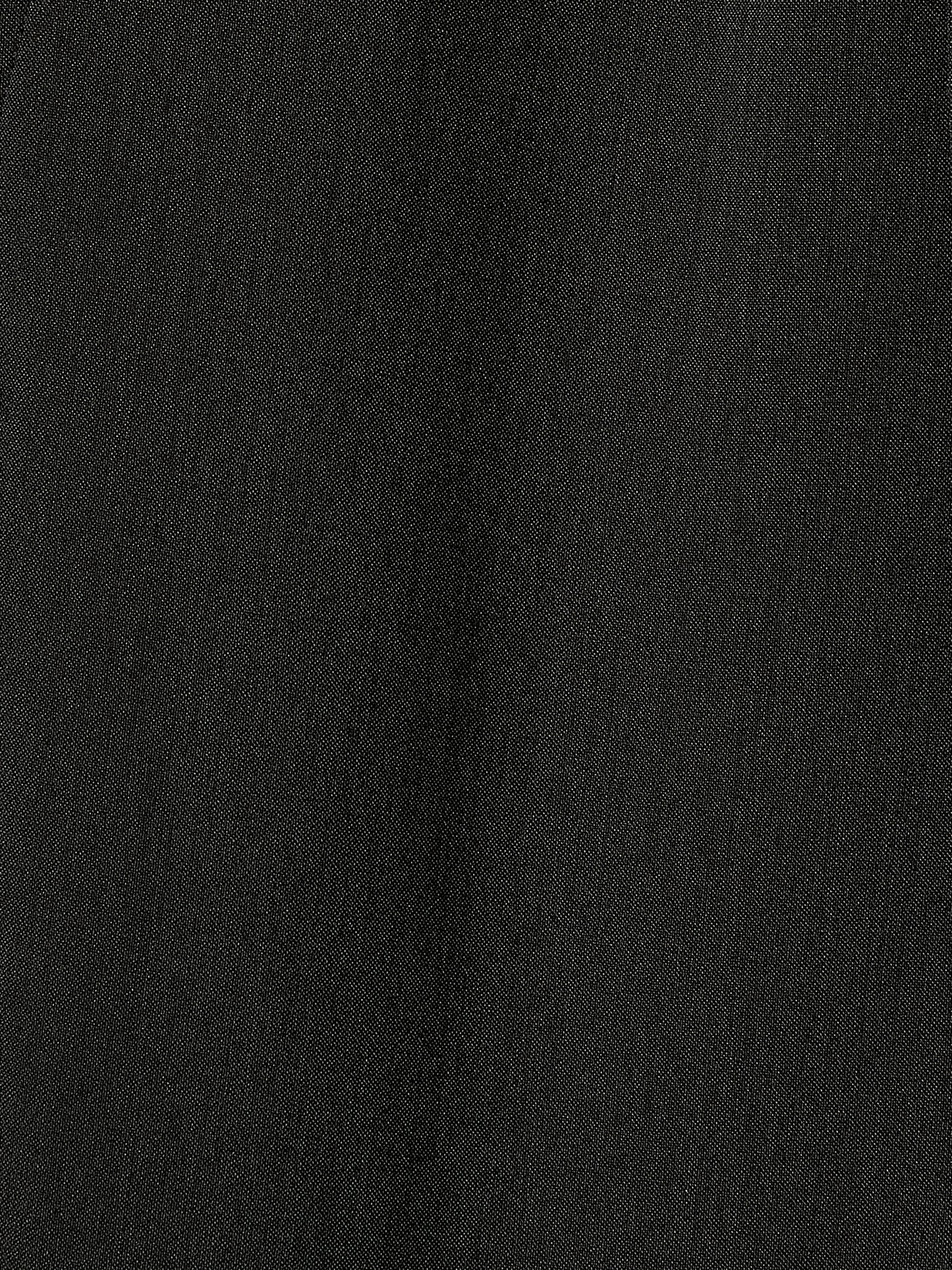 Wide-Leg Pleated Dress Pant