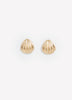 Shell Earrings