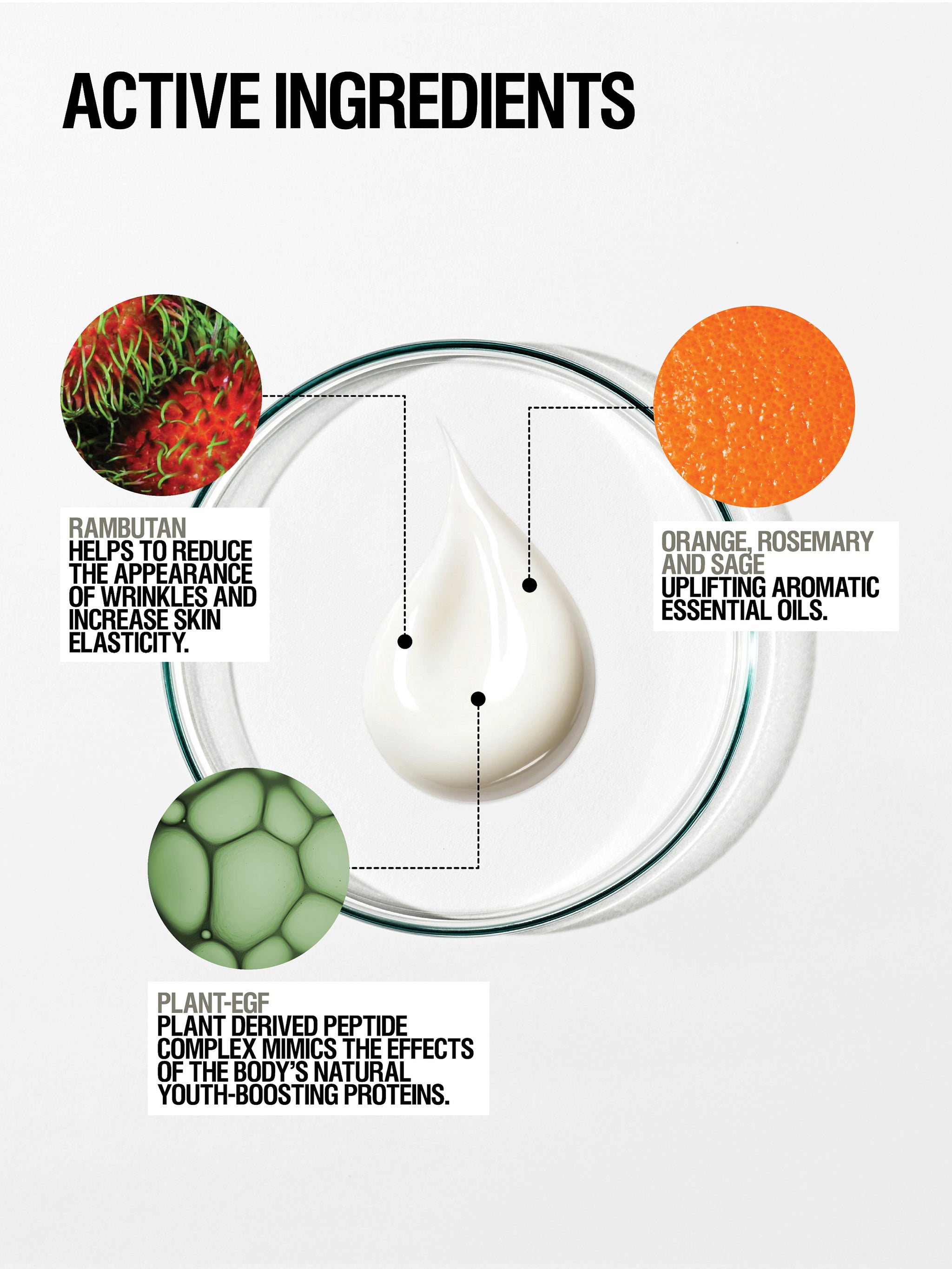 Regenerating Hand Cream - Grown Alchemist