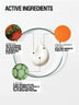 Regenerating Hand Cream - Grown Alchemist