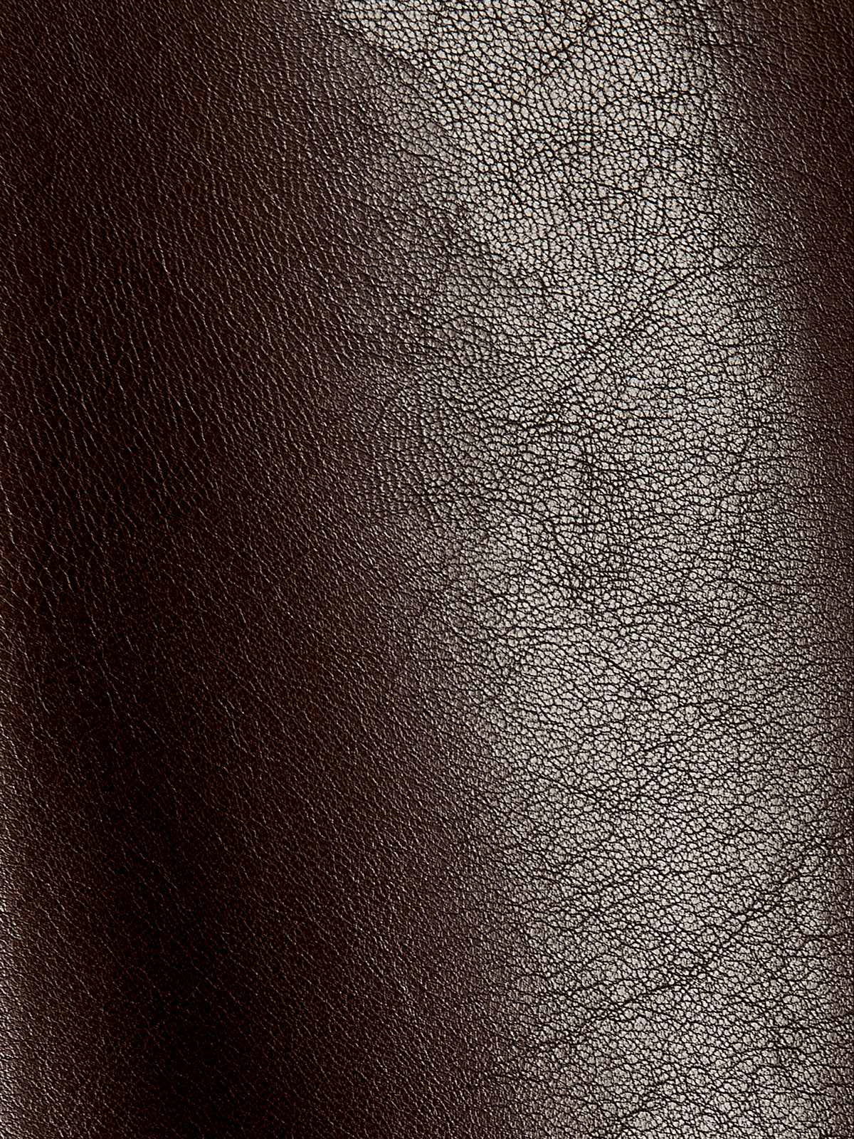 Faux Leather Mini Skirt