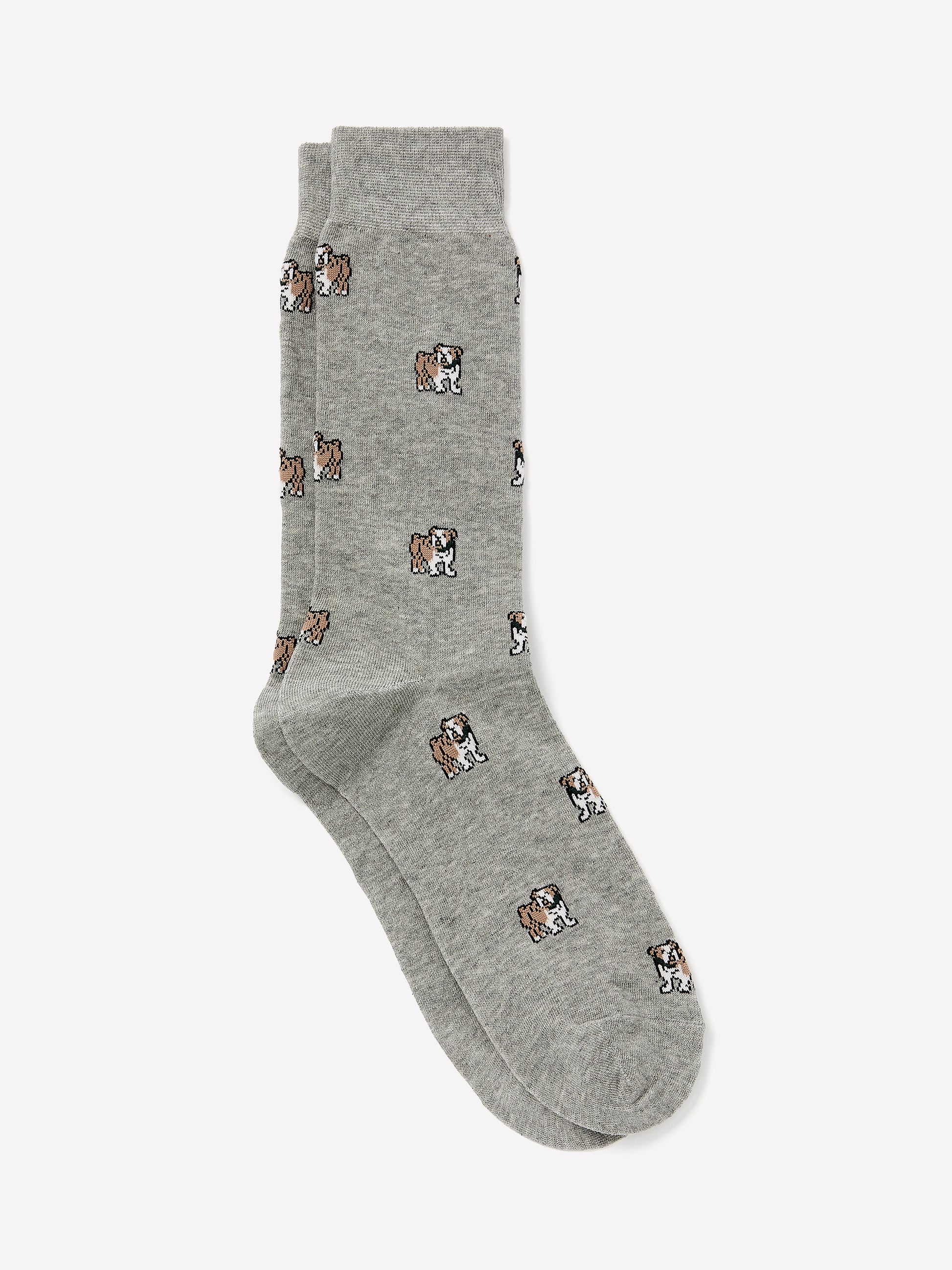 Bulldog Socks