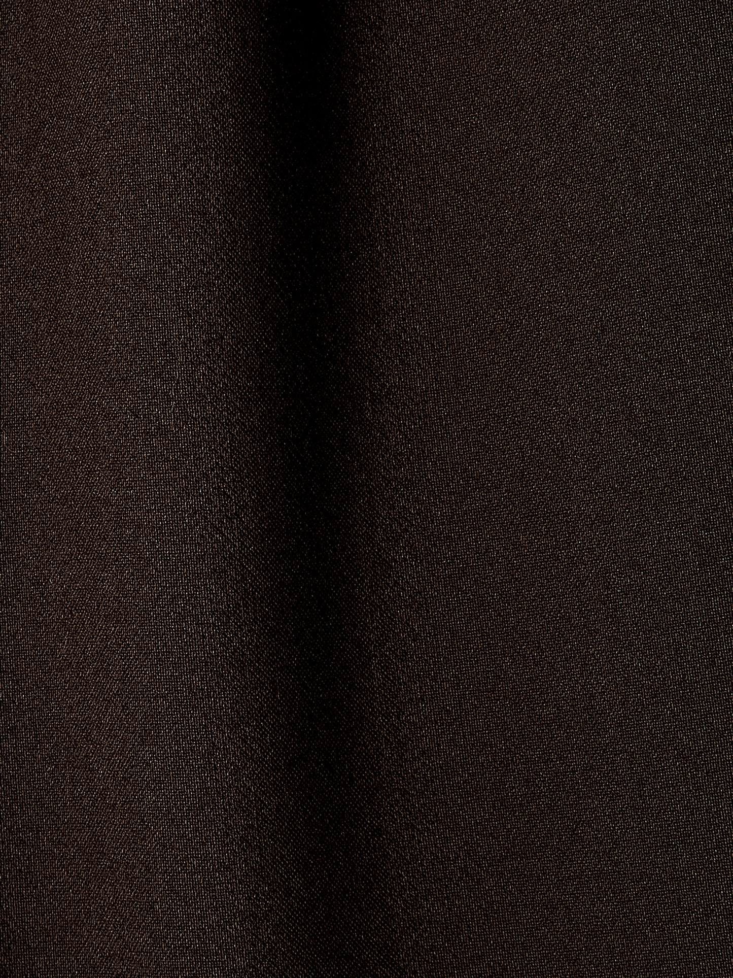 Wide-Leg Pleated Dress Pant