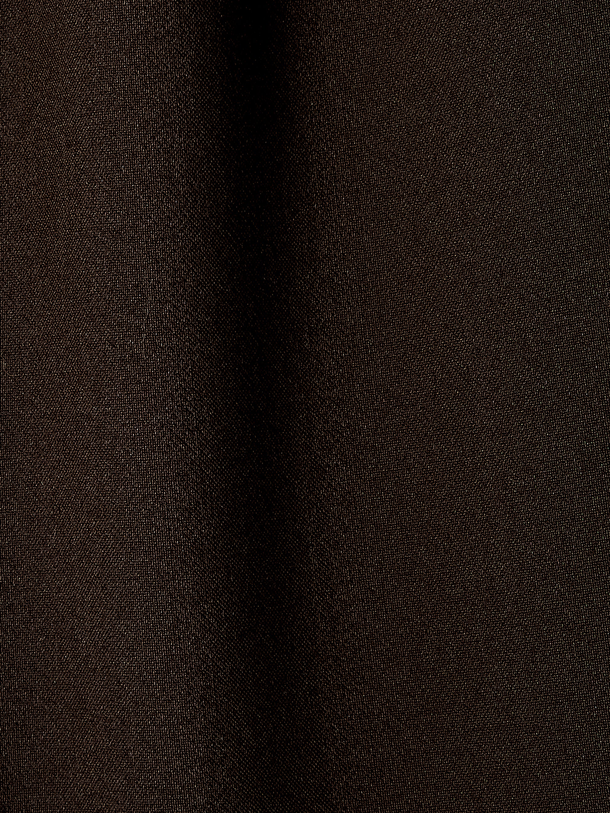 Wide-Leg Pleated Dress Pant