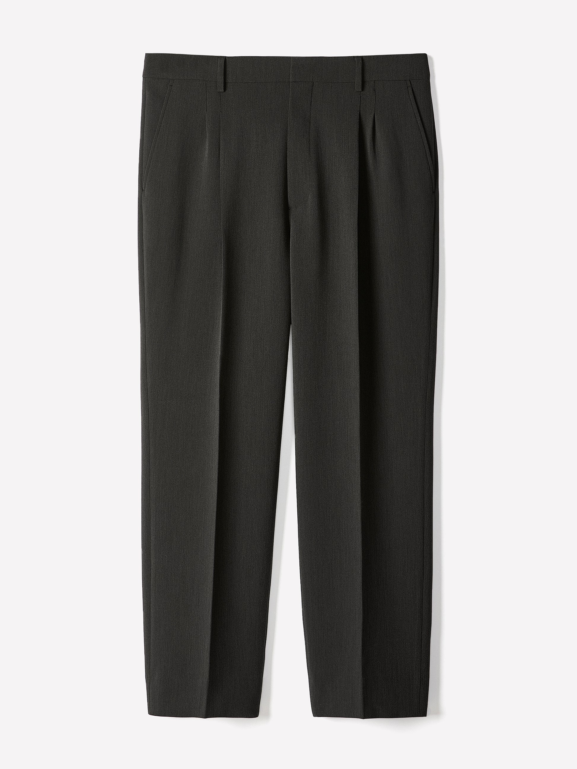 Wide-Leg Pleated Dress Pant