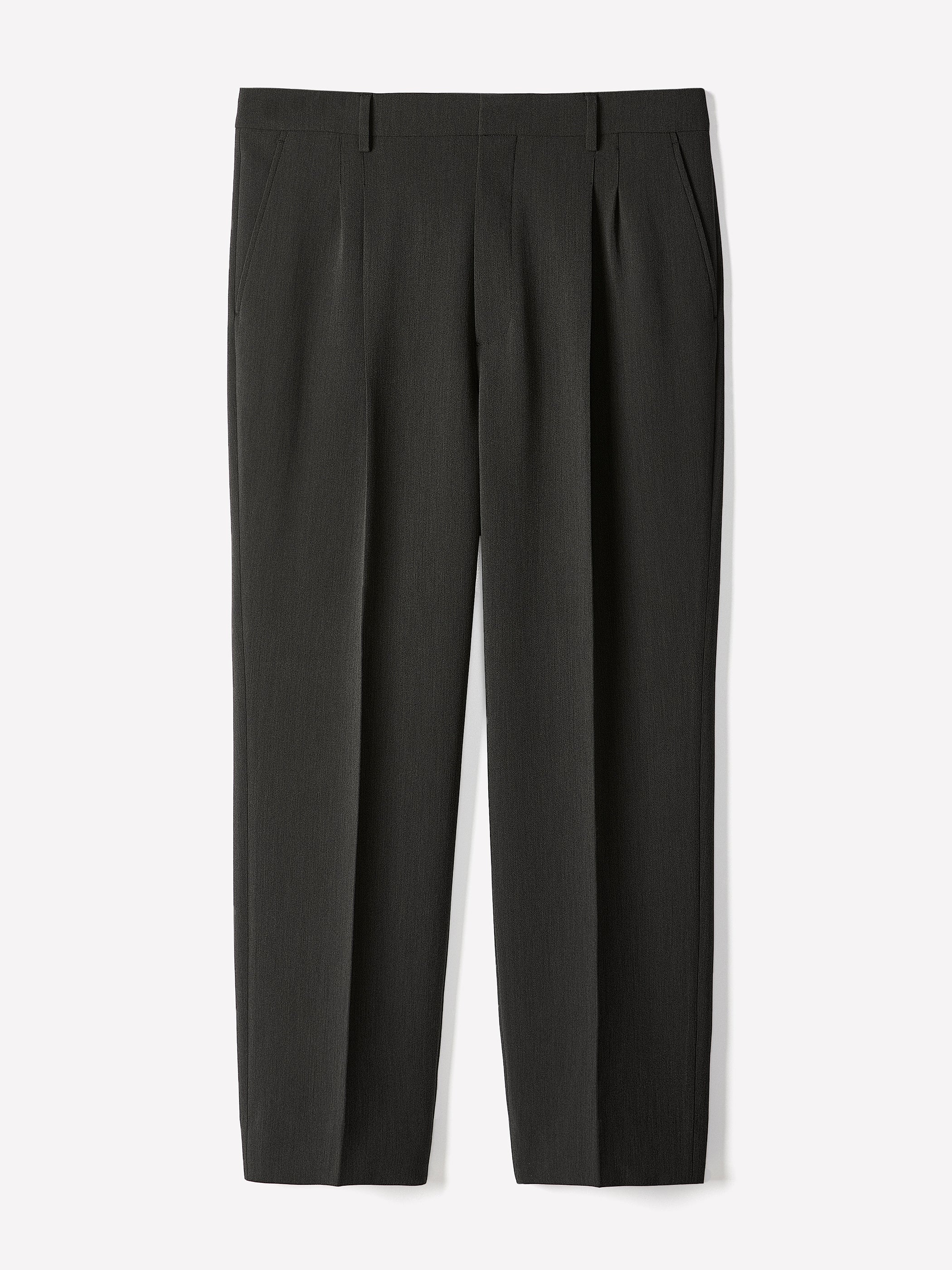 Wide-Leg Pleated Dress Pant