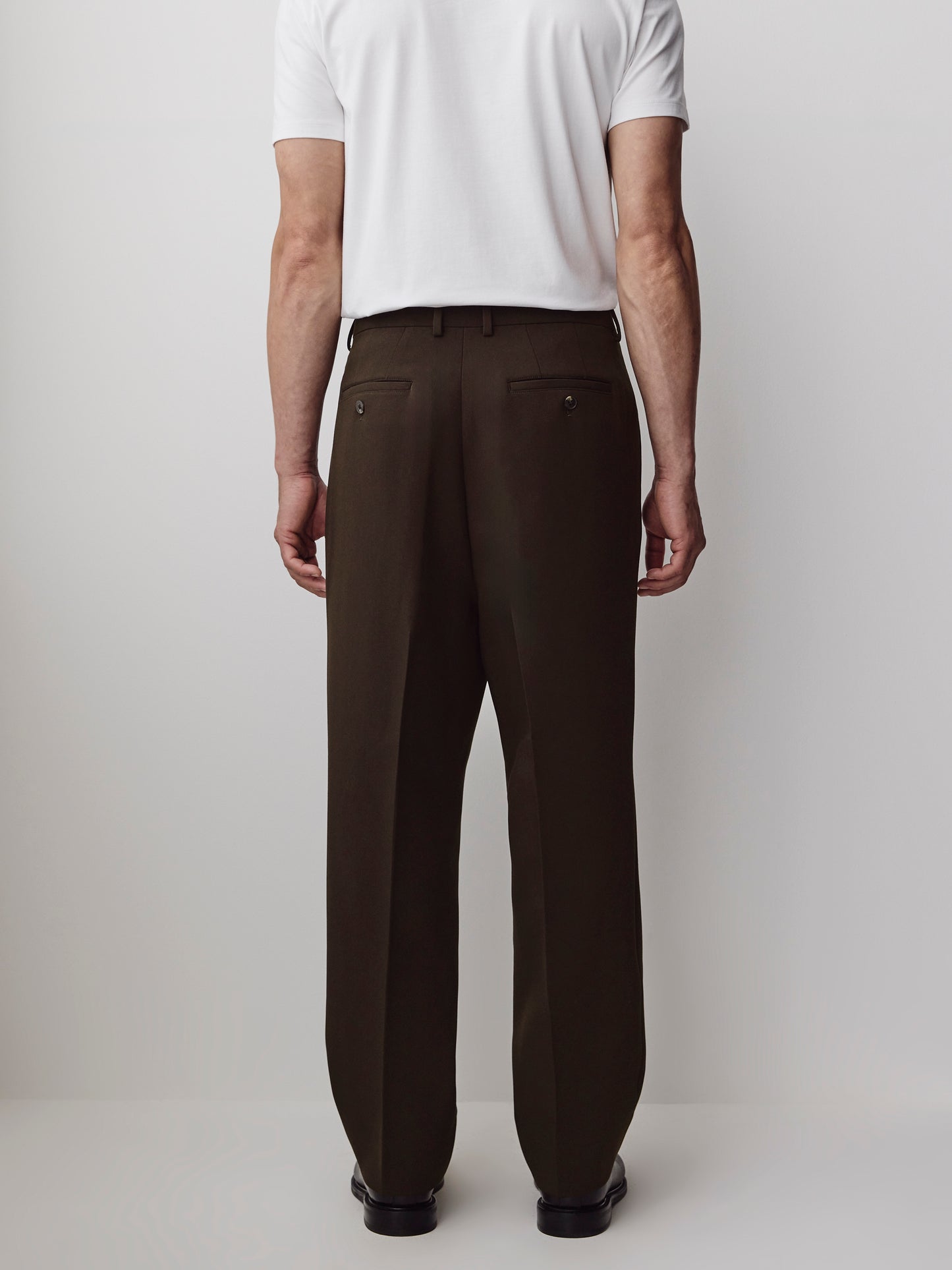 Wide-Leg Pleated Dress Pant