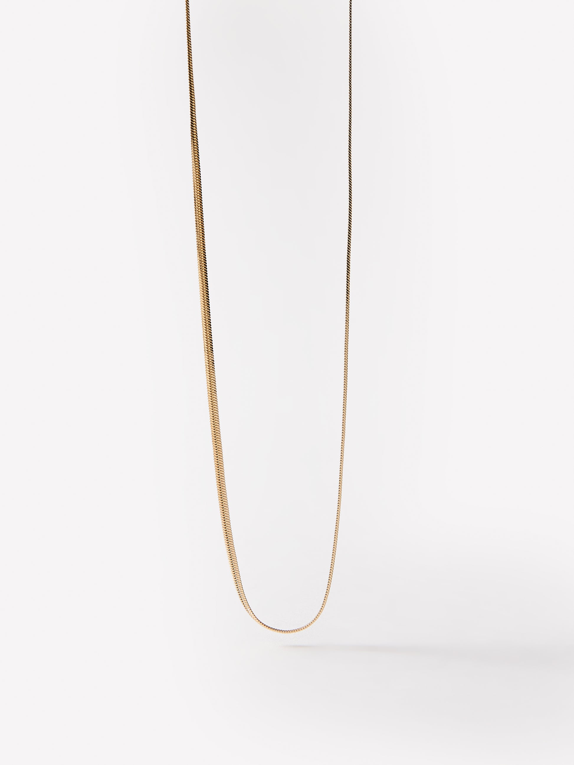 Delicate Snake Chain Necklace in Metal