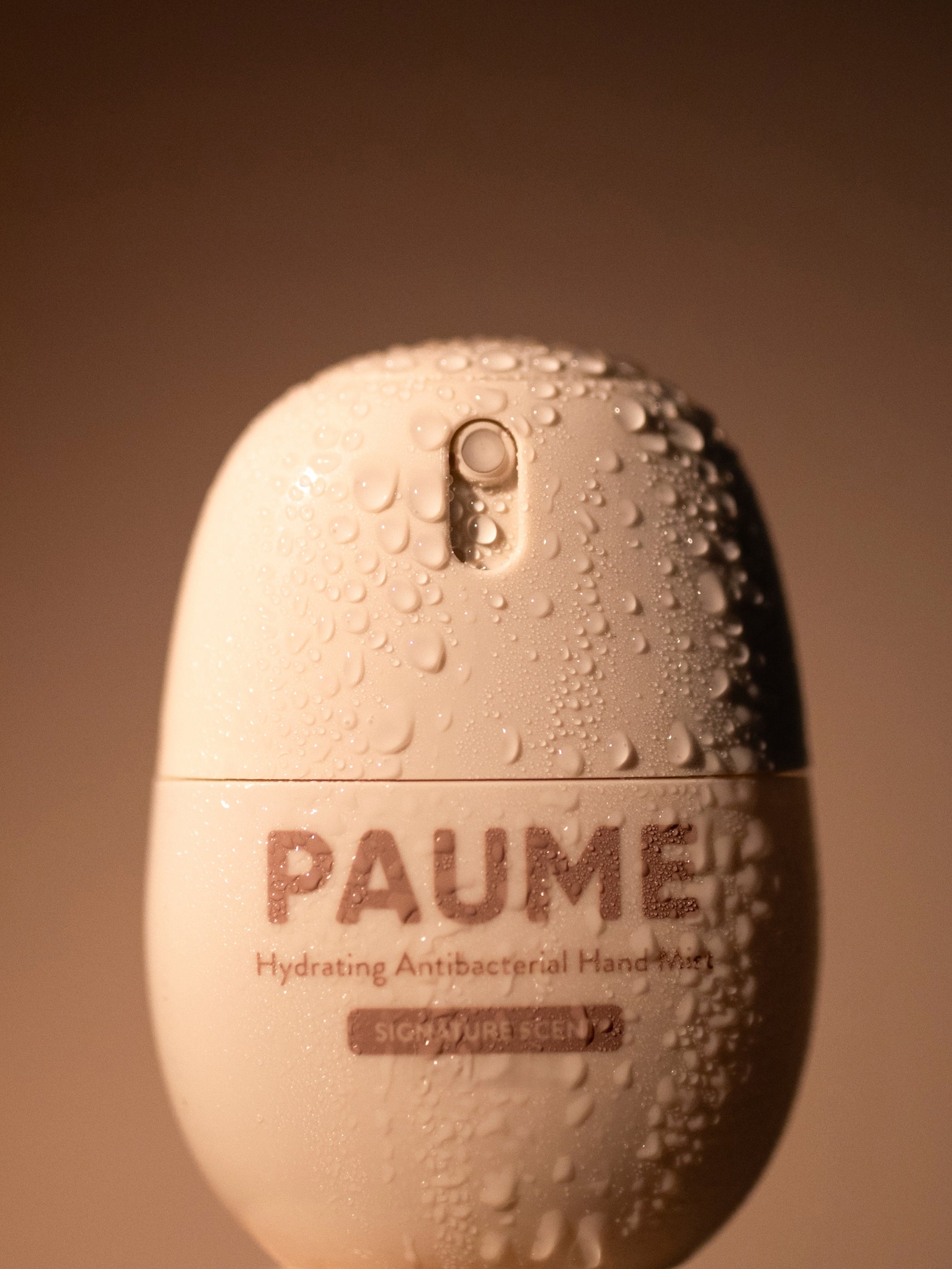 Antibacterial Hand Mist - Paume