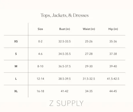 Z Supply - Andromeda Sequin Mini Dress