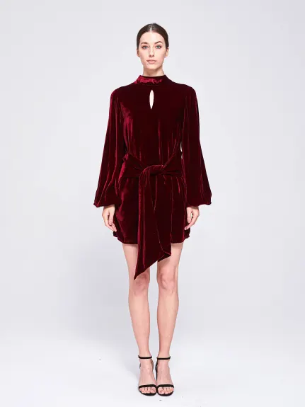 THE 28TH ROSE - Wanda Velvet Mini Dress