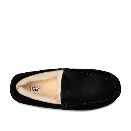 UGG  Ascot in  Suede