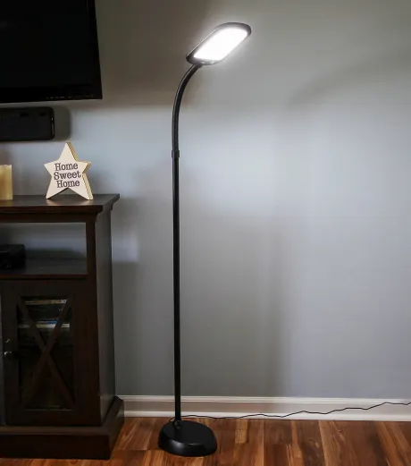 Litespan Slim Led Gooseneck Floor Lamp With Adjustable Head