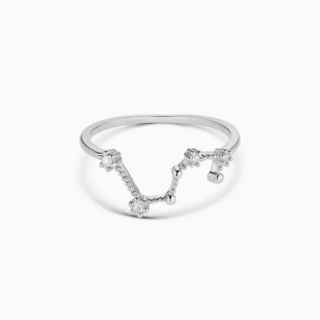 Bearfruit Jewelry - Anneau du zodiaque constellation - Lion