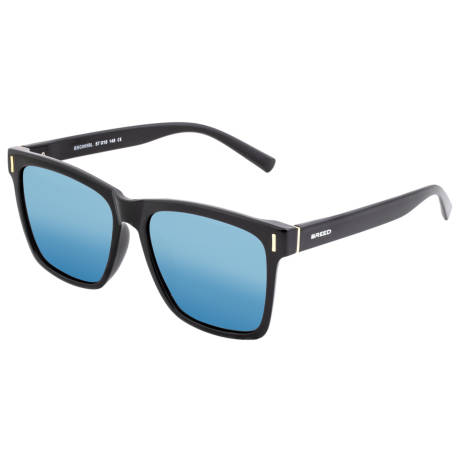 Breed Pictor Polarized Sunglasses - Black/Silver