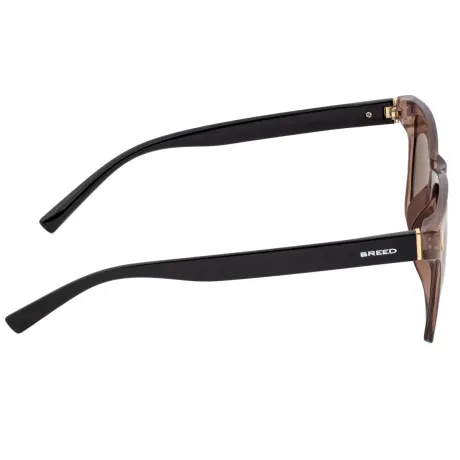 Breed Pictor Polarized Sunglasses - Black/Silver