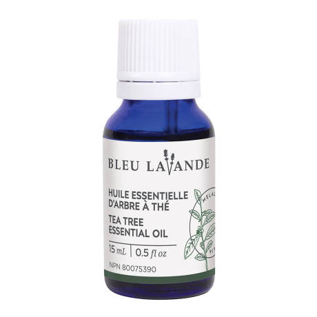 Bleu Lavande - Huile essentielle d'arbre à thé - 15 ml