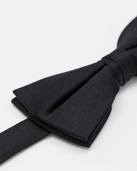 Solid Iridescent Bow Tie