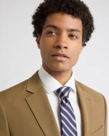 Brown Regular Tie with Stripes