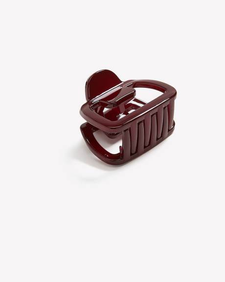 Petite Pince à Cheveux en Plastique