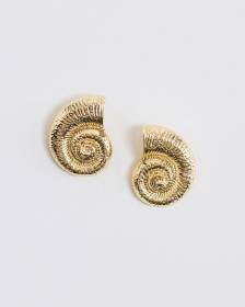 Shell Earrings