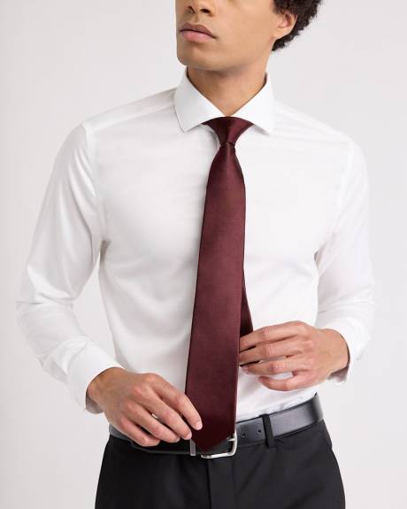 Celebration Regular Tie