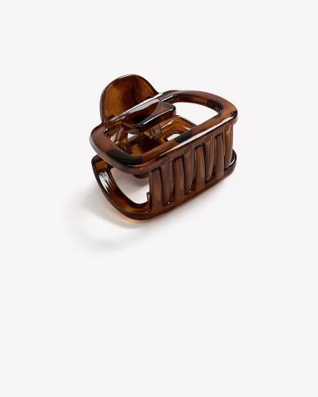 Petite Pince à Cheveux en Plastique