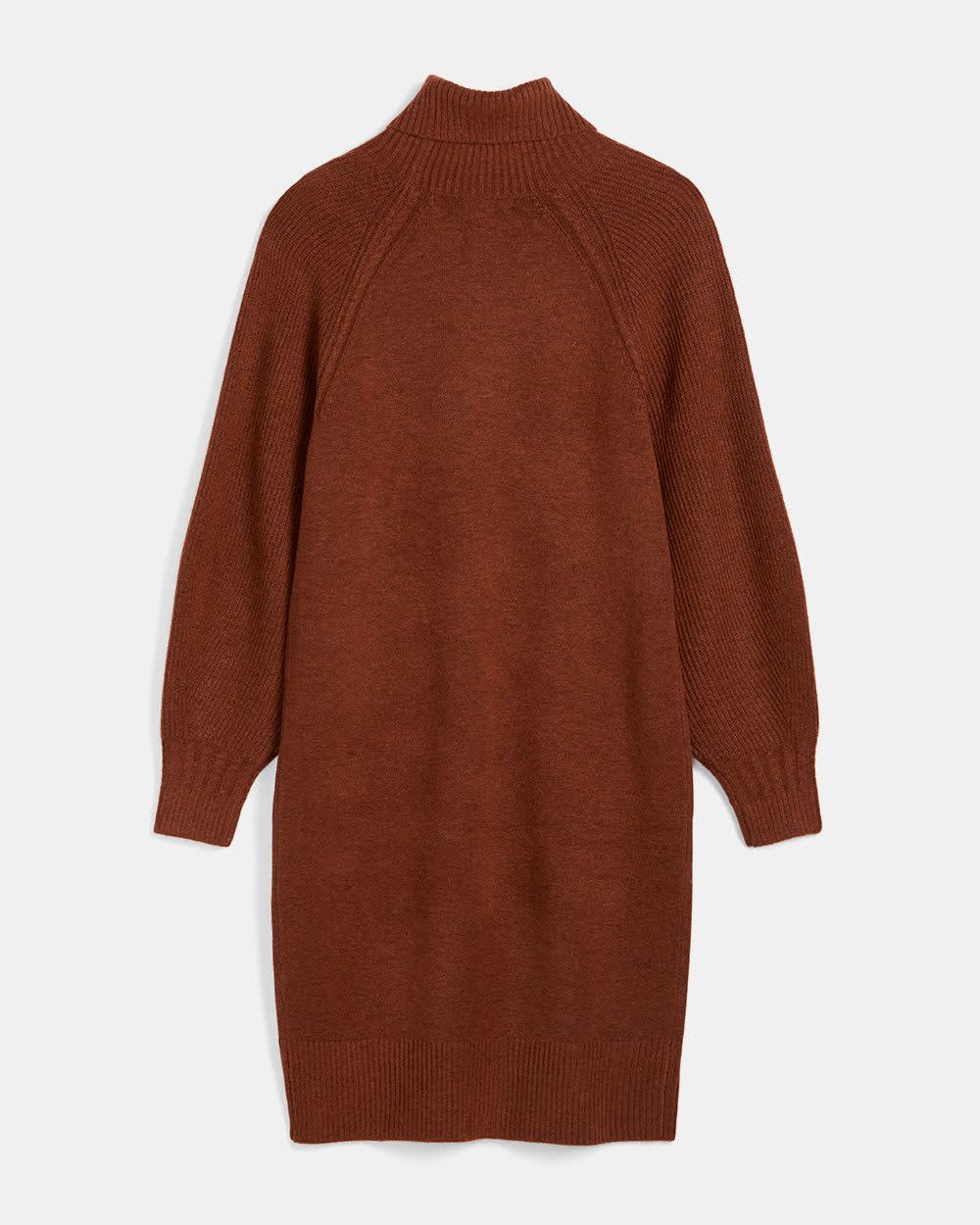 Soft Spongy Knit Turtleneck Sweater Dress | RW&CO.