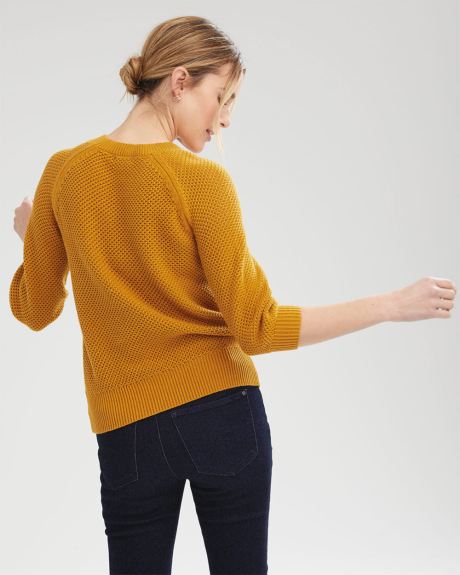 Textured Raglan Sleeve Sweater