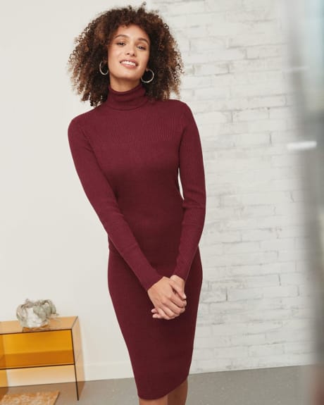 Fitted Turtle Neck Sweater Dress
